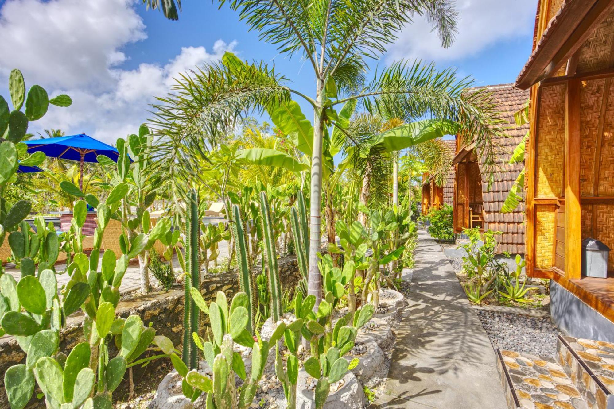 Kira Cottages Sakti Dış mekan fotoğraf